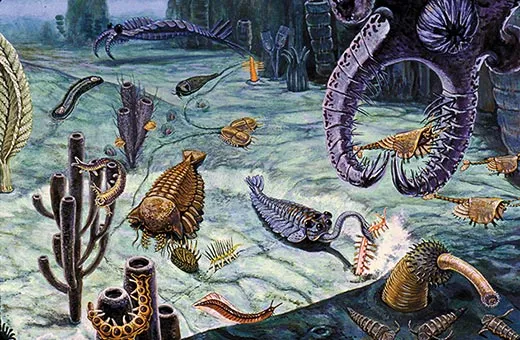 The Burgess Shale and the Myth of Evolutionary Progress (Alyna Johnson)